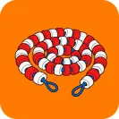 乌西克第11回合TKO维尔霍文，25战全胜｜赛事合集·足球与篮球
